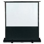 Epson - Schermo per videoproiettore V12H002S08 