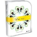 Microsoft - Software BX-EXPRESSION WEB 2 ITALIAN DVD 