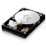 Seagate / Maxtor - Hard disk MXT80GB-SATA2 
