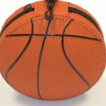 Astuccio porta cd 24 posti BASKET 