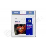 Cartuccia epson magenta t054340 blister r800 