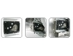 Armor Jr. - Silver win VC3000SWA 