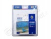 Cart. epson ciano t045240ja c64/c84/cx6400 bl Cart. epson ciano t045240ja c64/c84/cx6400 bl