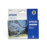 Cart.epson ciano-chiaro c13t034540 x s.p.2100 