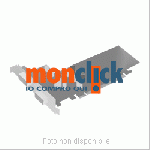 IBM - NETXTREME II 1000 G ETHERNET AD 