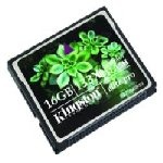 Kingston - Memoria compact flash CF/16GB-S2 