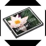 Kingston - Memoria compact flash COMPACTFLASH 