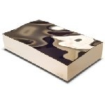 LaCie - Hard disk Golden Disk 