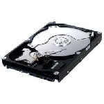 Samsung - Hard disk SAMSUNG HARD DISK 250GB S-ATA2 16MB 