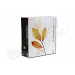 Sw adobe creative suite std 2 mac full it 