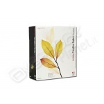 Sw adobe creative suite std 2 full it cd 