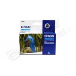 Cartuccia epson ciano t048240 per rx300/500 