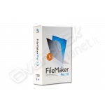 Sw filemaker pro 10 5-user lic pk ita cd 